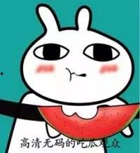 吃瓜你我她
